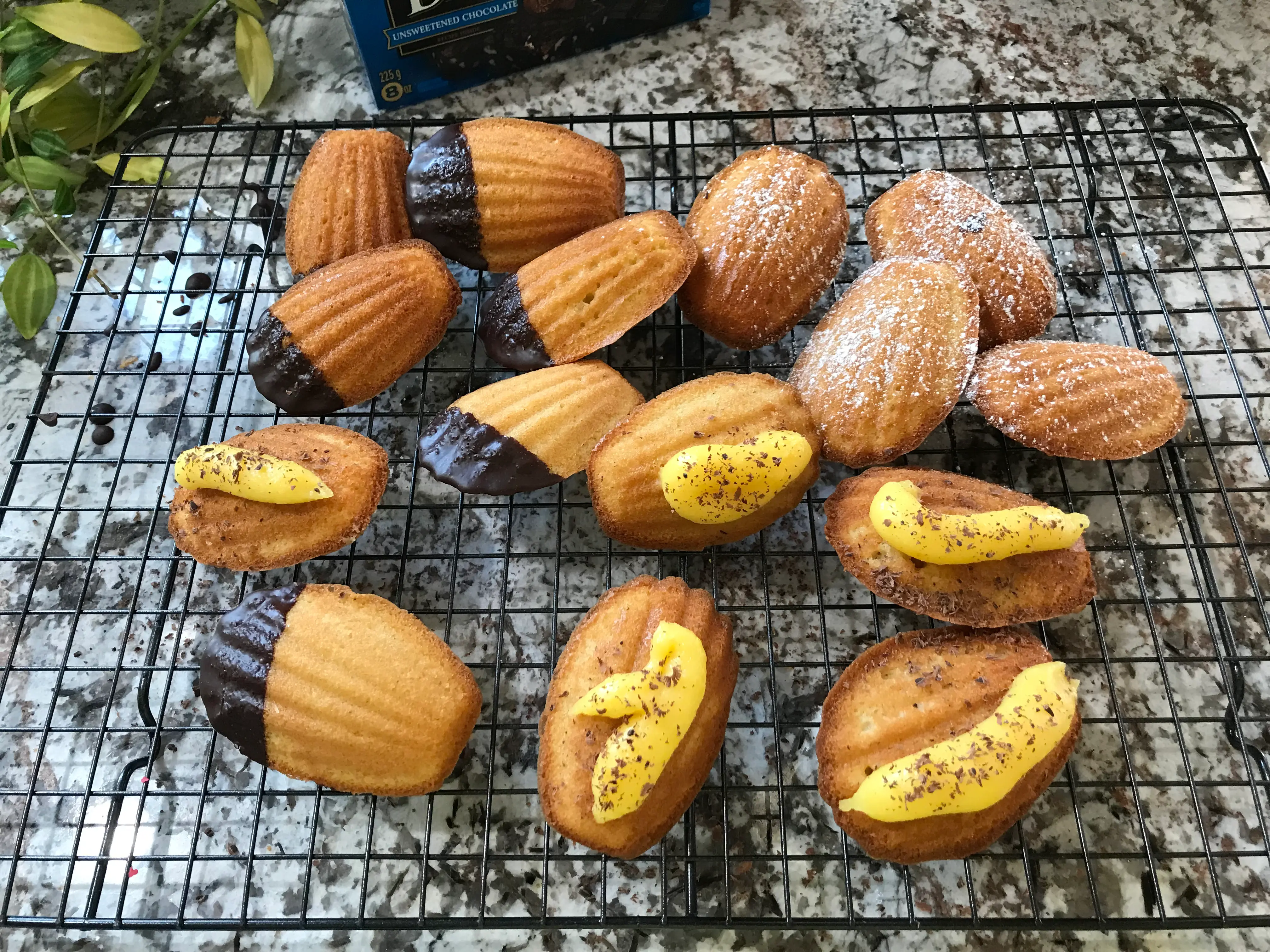 Madeleine Cookies